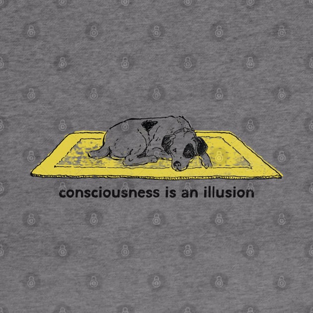 Consciousness Is An Illusion by DankFutura